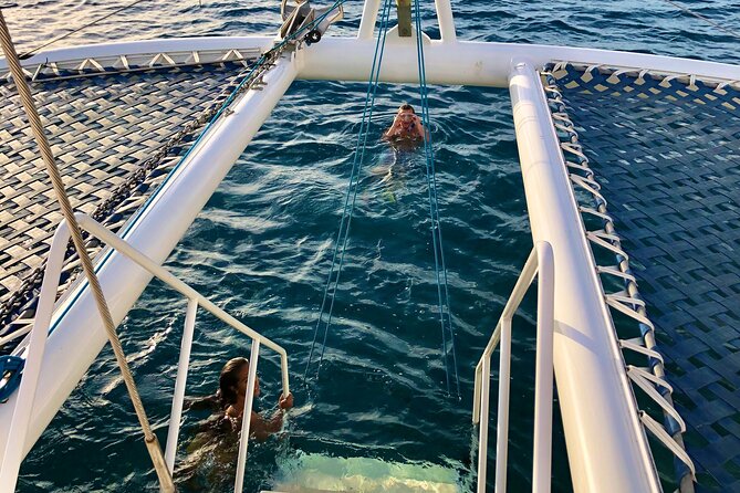 Moana’s Waikīkī Grand Guided Turtle Snorkel & Sailing Adventure - A catamaran built for comfort, not just transport