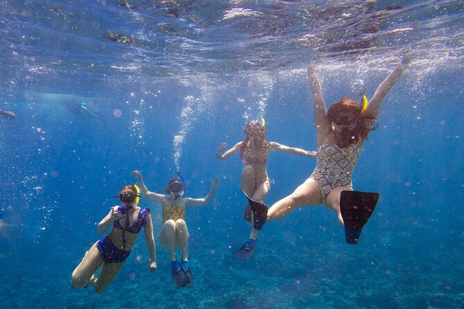 Molokini Snorkel and Performance Sail: Mā’alaea Harbor - What makes this Molokini sail worth considering