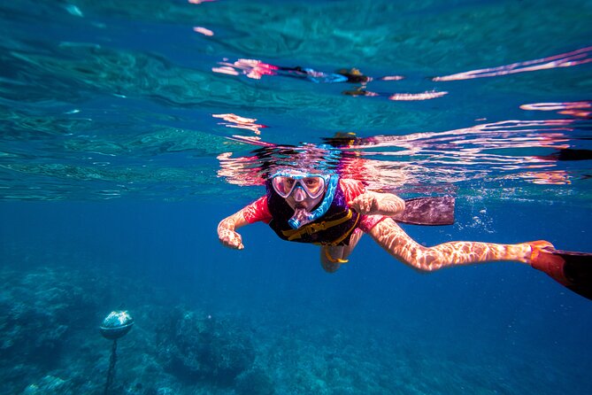 Molokini Snorkel and Performance Sail: Mā’alaea Harbor - Molokini Crater and its clear-water snorkeling
