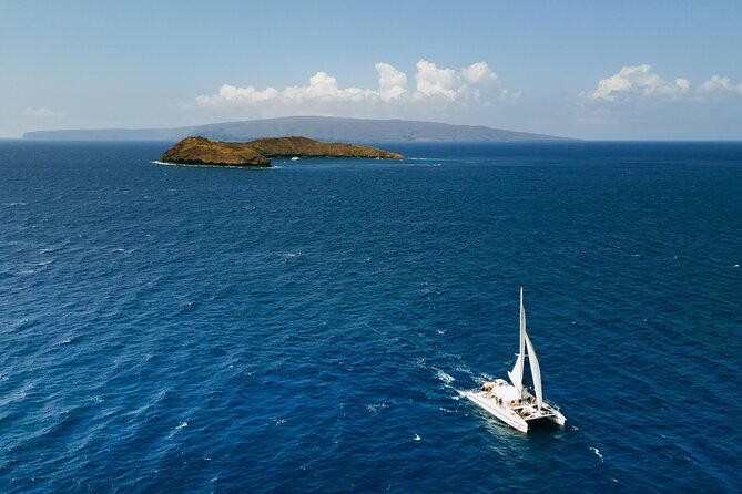 Molokini Snorkel and Performance Sail: Mā’alaea Harbor - Lunch, drinks, and the sail home