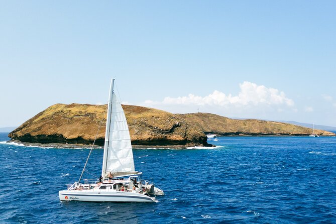 Molokini Snorkel and Performance Sail: Mā’alaea Harbor - What $200 buys you on Maui