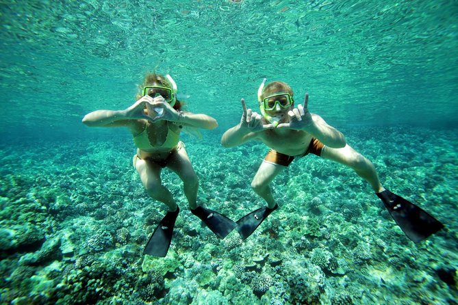 Molokini Snorkel and Performance Sail: Mā’alaea Harbor - Who will enjoy this boat most