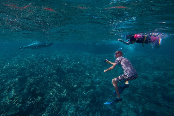 Molokini Snorkel and Performance Sail: Mā’alaea Harbor - Booking, cancellation, and weather details