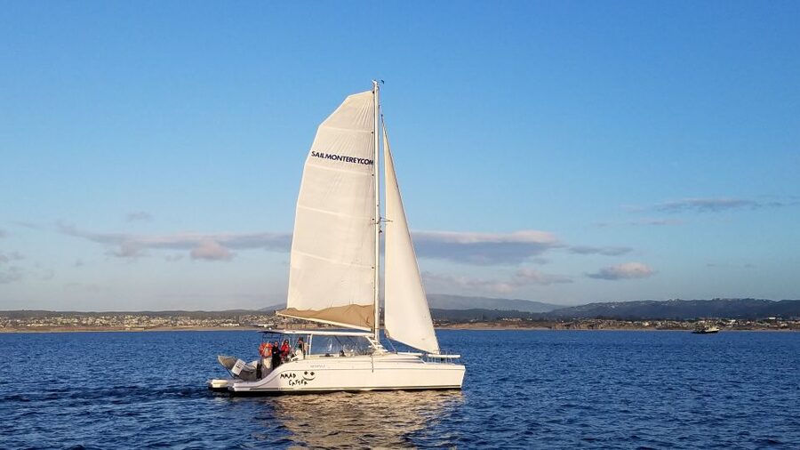 Monterey: Catamaran Sailing Cruise - Key Things to Know Before You Sail