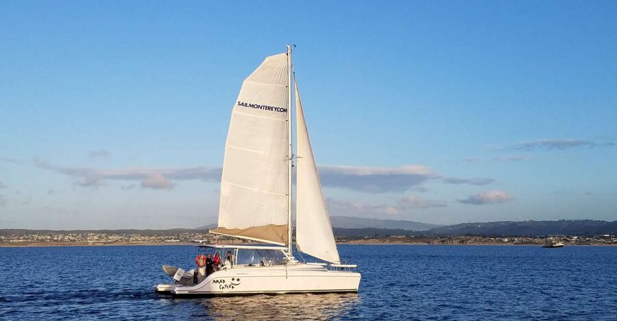 Monterey: Catamaran Sailing Cruise - First Stop: Sea Otters and Sea Lions in the Harbor