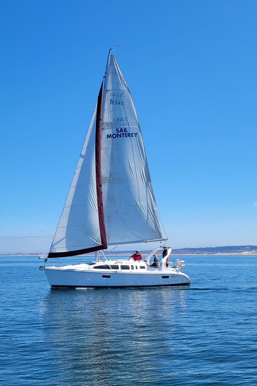 Monterey: Private Whale Watching/Sailing Tour for 6 - Key points to know before you book