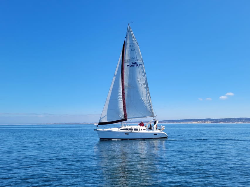 Monterey: Private Whale Watching/Sailing Tour for 6 - Setting sail from Old Fisherman’s Wharf