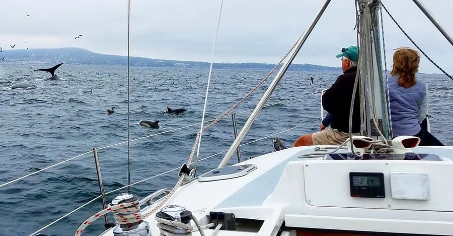 Monterey: Private Whale Watching/Sailing Tour for 6 - The first stretch across Monterey Bay