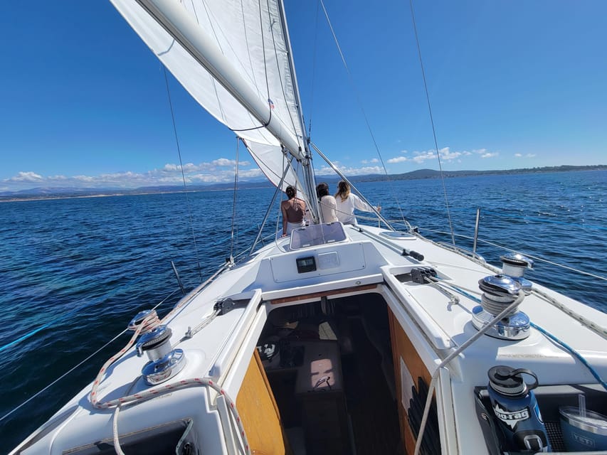 Monterey: Private Whale Watching/Sailing Tour for 6 - The animals you may see