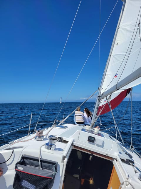 Monterey: Private Whale Watching/Sailing Tour for 6 - Captain Tiki, Kiwi, and the value of a good guide