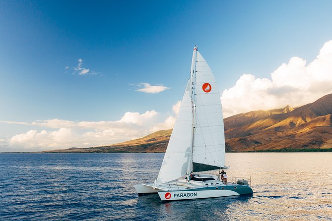 Morning Whale Watch: Lahaina Harbor - Key Points Before You Book