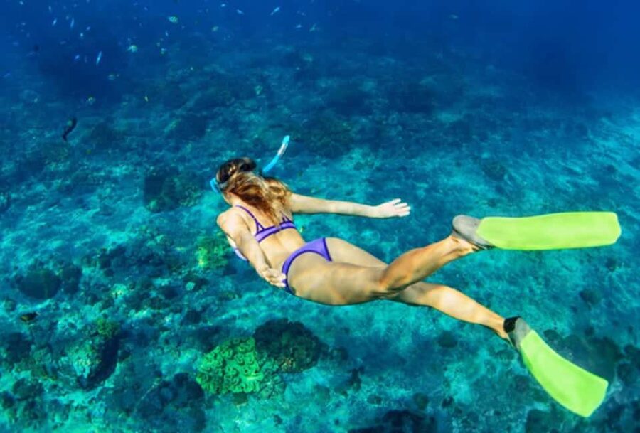 Nassau: Catamaran Sail and Snorkel Tour - Setting out from Paradise Island