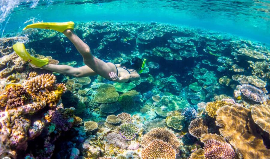 Nassau: Catamaran Sail and Snorkel Tour - The return trip brings rum punch and island views