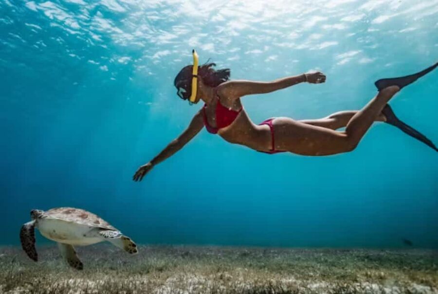 Nassau: Catamaran Sail and Snorkel Tour - Who will enjoy this catamaran tour most
