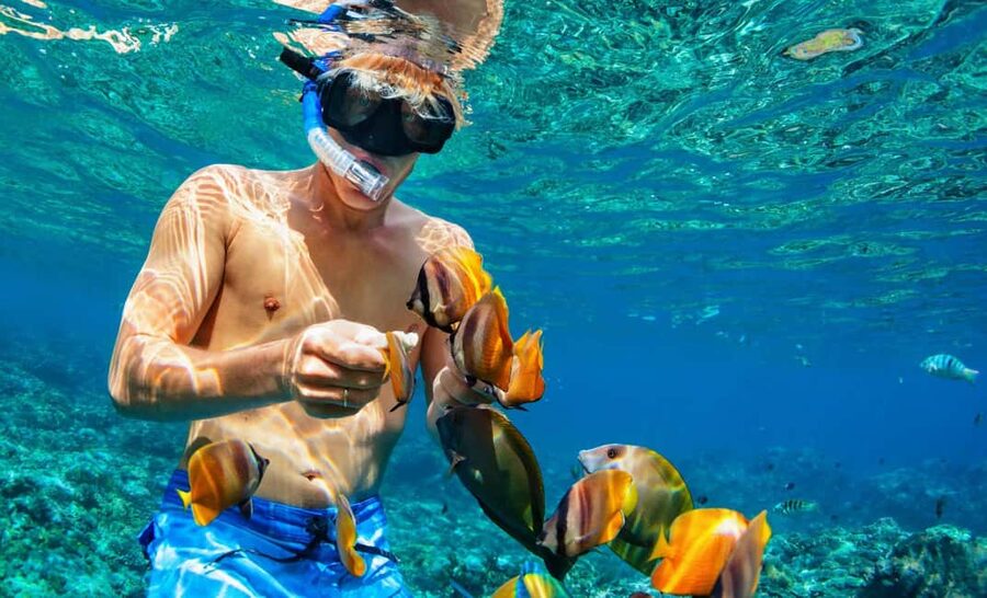 Nassau: Catamaran Sail and Snorkel Tour - Should you book this Nassau sail and snorkel trip?