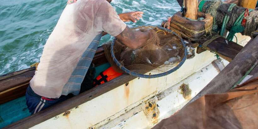 Negombo: Catamaran Sailing with Traditional Fishermen - The Return Through Negombo Lagoon