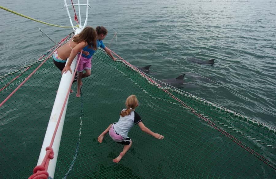 Nelson Bay: Dolphin Watch Cruise and Sail - Setting Out From dAlbora Marina Nelson Bay