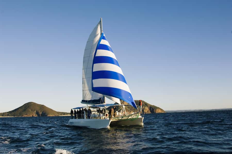 Nelson Bay: Dolphin Watch Cruise and Sail - The Bow Net and Boom Net Choice