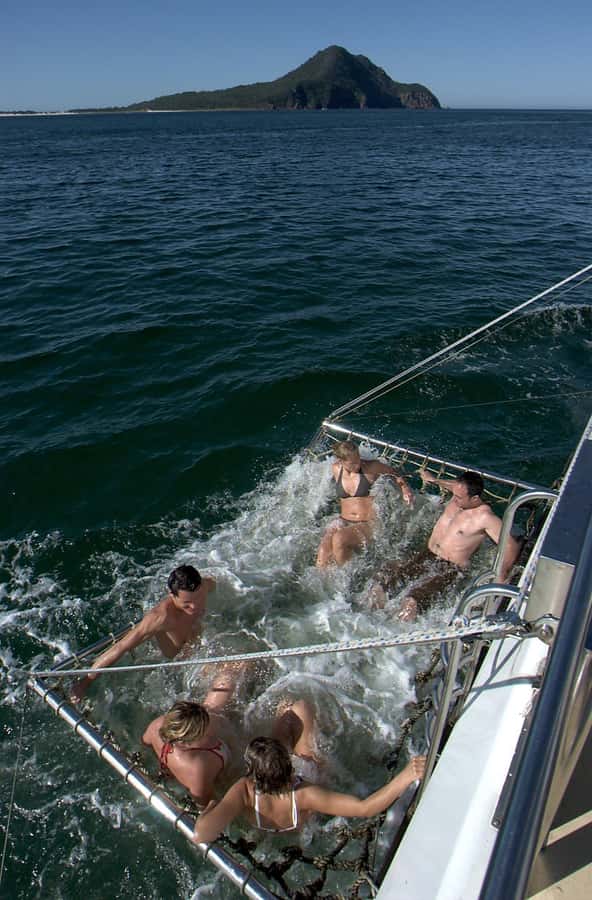 Nelson Bay: Dolphin Watch Cruise and Sail - The Best Season and the Weather Factor