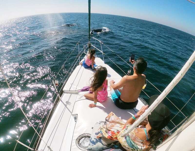 Nuevo Vallarta: Whale Watching by Sailboat Tour - Should you book the Nuevo Vallarta whale tour?