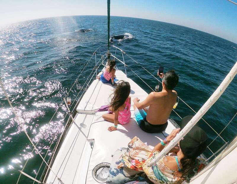 Nuevo Vallarta: Whale Watching by Sailboat Tour - Setting out from the Nuevo Vallarta public pier