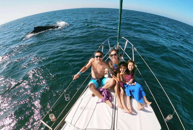 Nuevo Vallarta: Whale Watching by Sailboat Tour - The 3.5-hour whale-watching rhythm