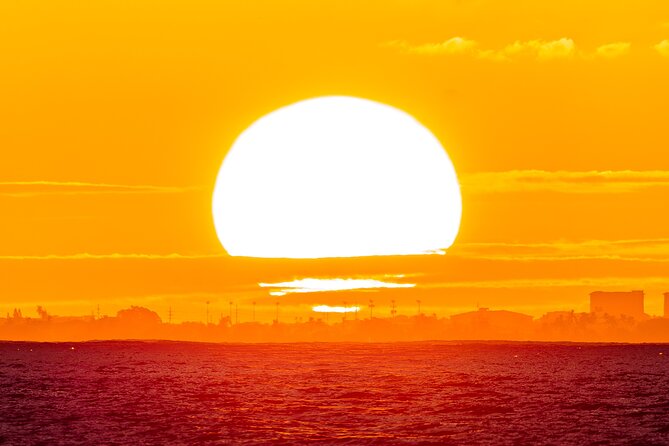 Oahu's Waikiki Coast: Moana’s Sunset Cocktail Sail - Dolphins and humpback whales from November to May
