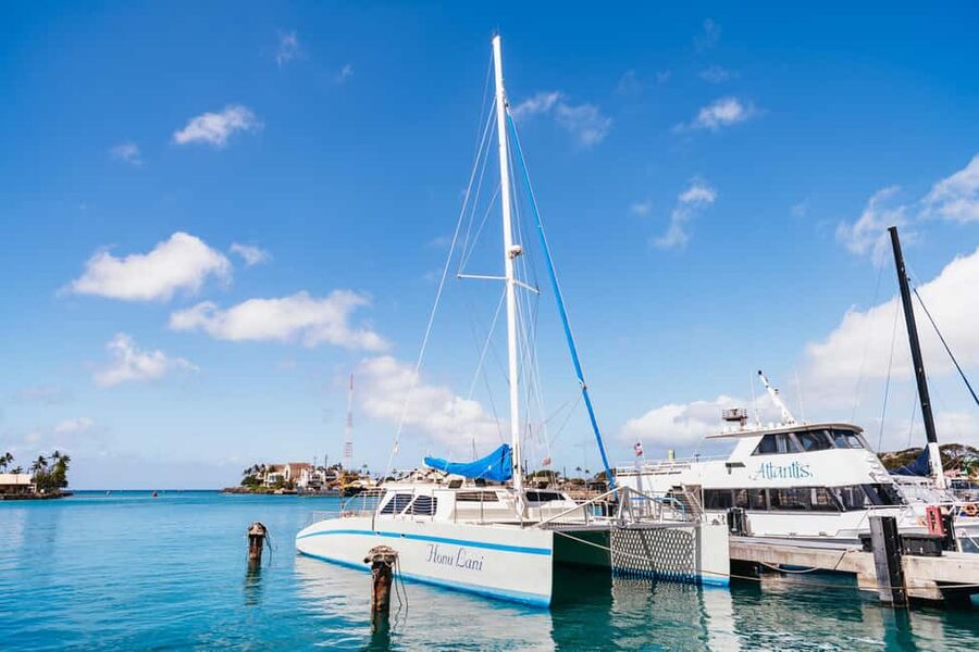 Oahu: Waikiki Turtle Snorkel Sail - Key points to know before booking