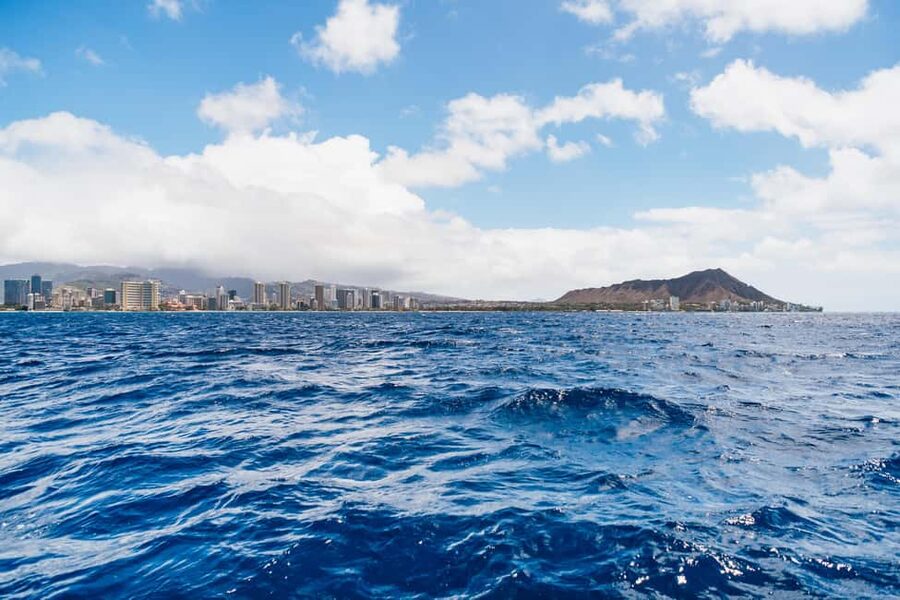 Oahu: Waikiki Turtle Snorkel Sail - What the crew does especially well