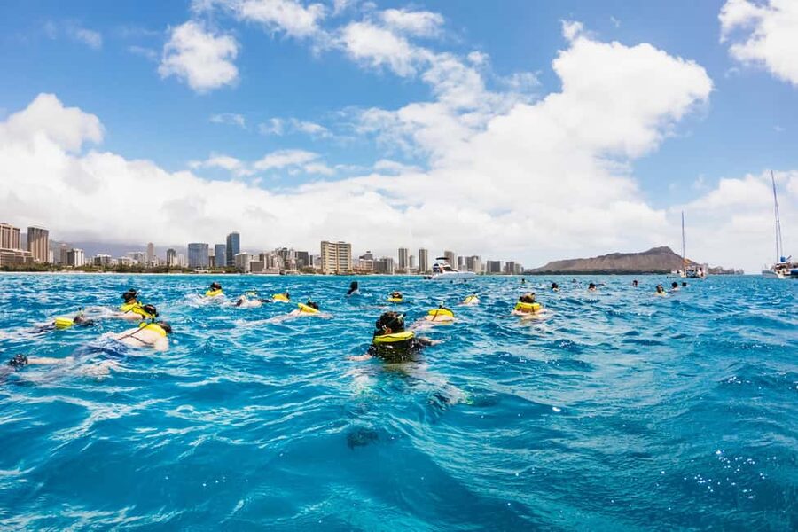 Oahu: Waikiki Turtle Snorkel Sail - The biggest limitations to consider