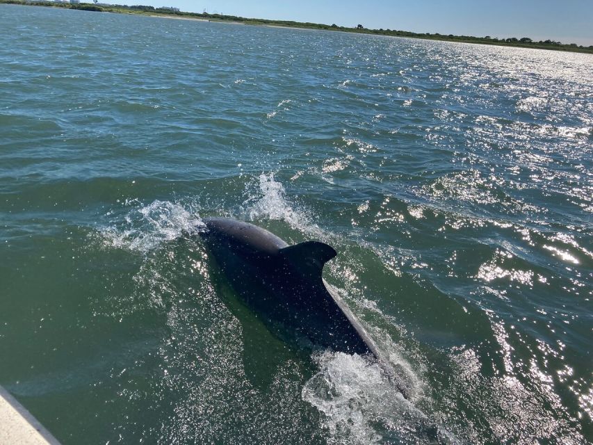 Ocean City: Sailing Catamaran Cruise with Crew - The Best Moment: When the Engine Stops