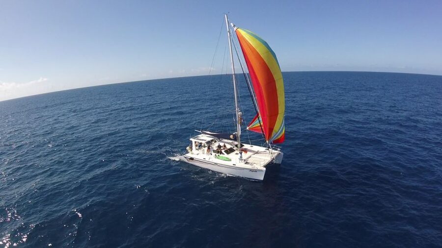 Ocean City: Sailing Catamaran Cruise with Crew - Boarding at Olde Towne Marina