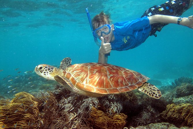 Ocean Spirit Sail to Michaelmas Cay Snorkel or Dive, from Cairns - Snorkeling from the sand, not the boat