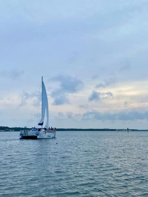 Orange Beach: Dolphin & Sailing Cruise Aboard 52' Catamaran - Why the two hulls make a difference