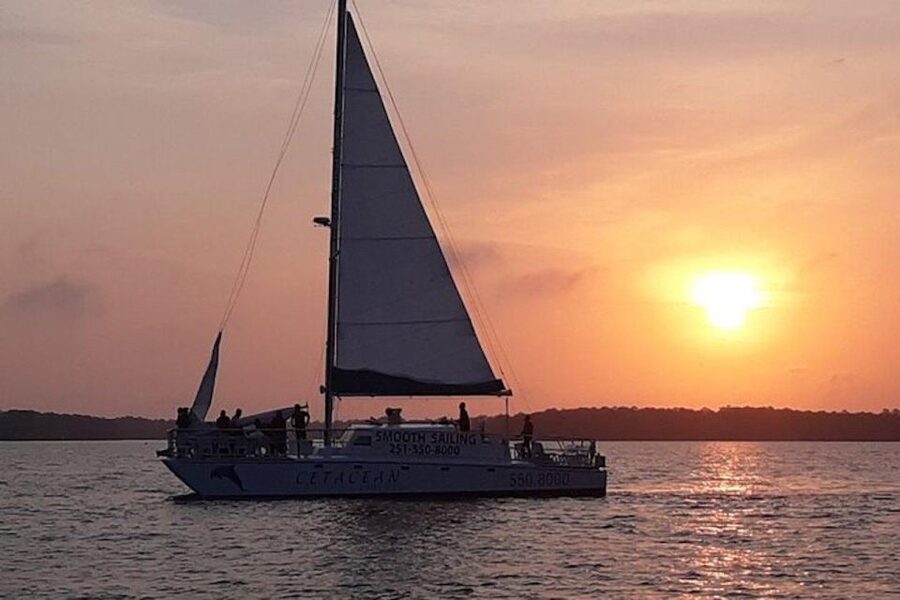 Orange Beach: Sunset Sailing Cruise Aboard The Cetacean - Ordering from the onboard bar