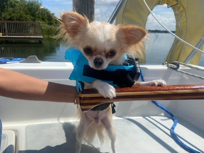 Orlando: Sailing Tour with Certified Sailing Instructor - A guide who sets the tone