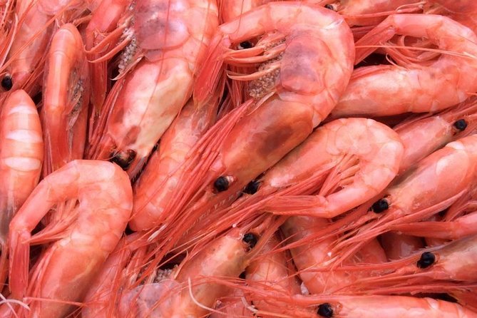 Oslo Fjord Evening Cruise with Shrimp Buffet on a Sailing Ship - Practical booking advice for a smoother evening