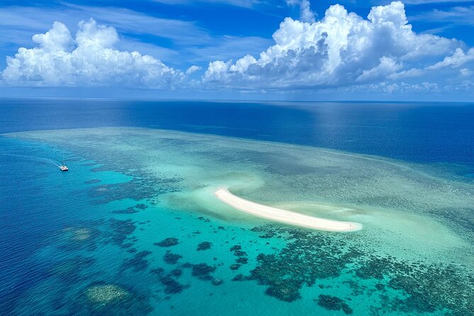 Outer Reef Mackay Cay Sail & Snorkel Adventure from Port Douglas - Snorkeling the outer reef with a marine biologist