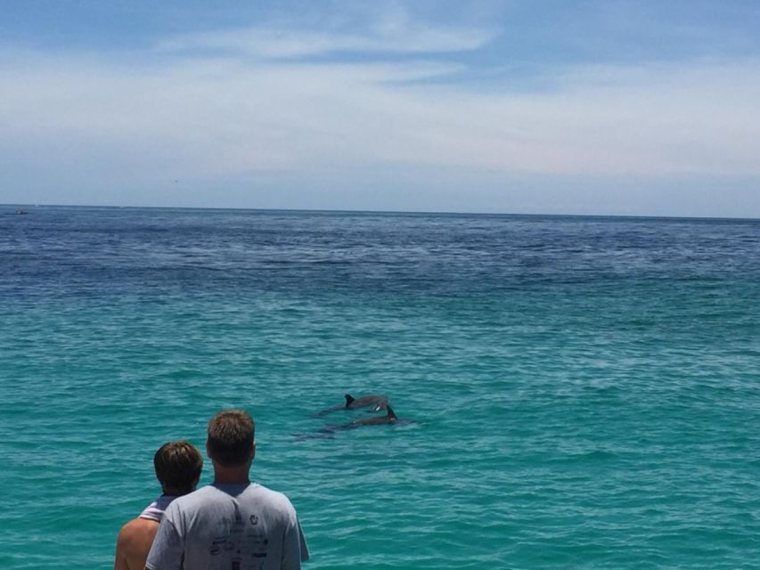 Panama City Beach: Dolphin Sightseeing Sail on the Footloose - Music, Drinks, and the Onboard Mood