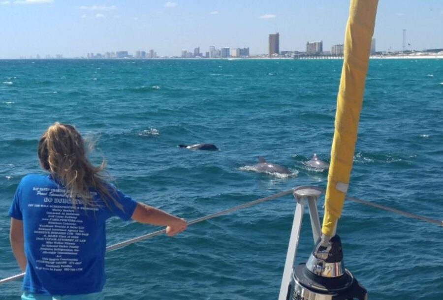 Panama City Beach: Dolphin Sightseeing Sail on the Footloose - Is $38 a Fair Price?