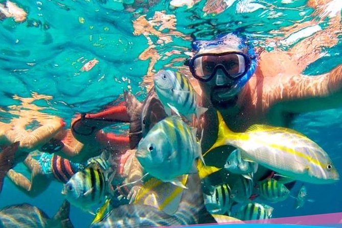 Party On Sailing Cruise to Isla Mujeres from Cancun - Snorkeling from the catamaran