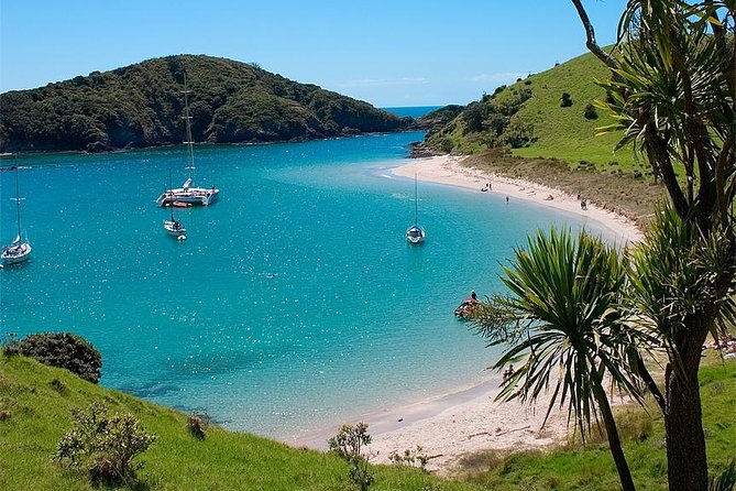 Phantom Sailing Bay of Islands - Swimming, snorkeling, and a homemade lunch