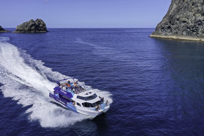 Phantom Sailing Bay of Islands - Who will enjoy Phantom Sailing most?