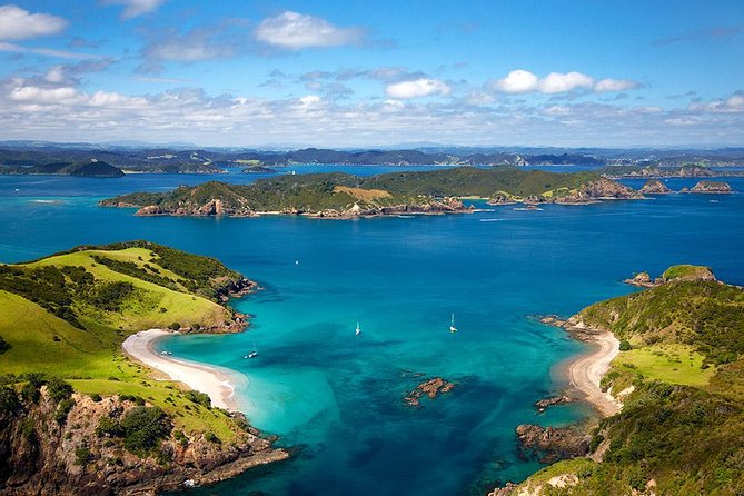 Phantom Sailing Bay of Islands - Should you book Phantom Sailing?