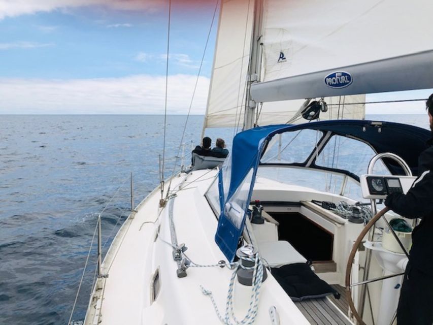Ponta Delgada Full Day Sailing Tour with Drinks and Snacks - Who will enjoy this sailing day most