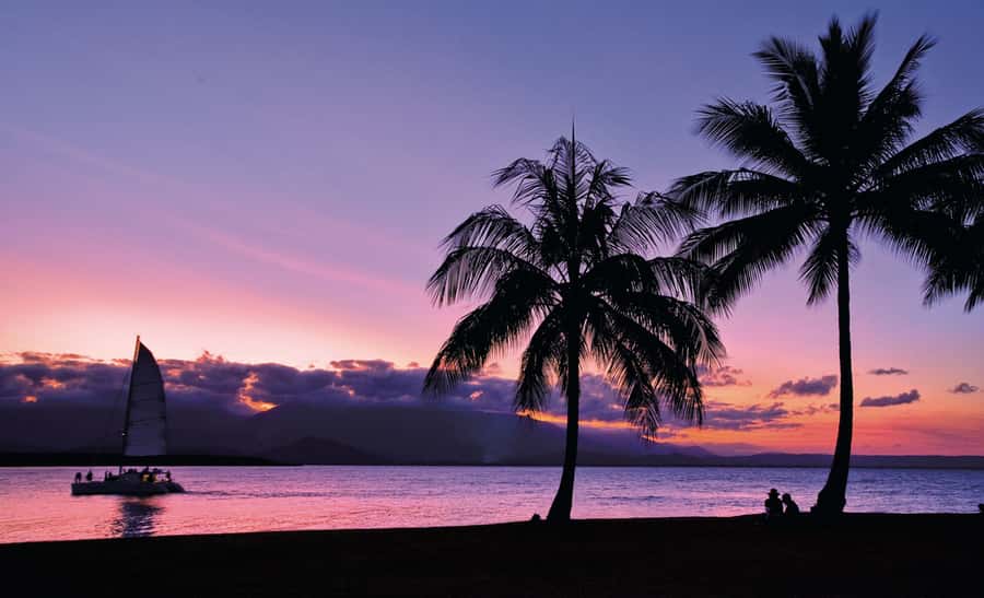 Port Douglas: Sunset Sailing Cruise on Luxury Catamaran - Canapés, champagne, and practical value