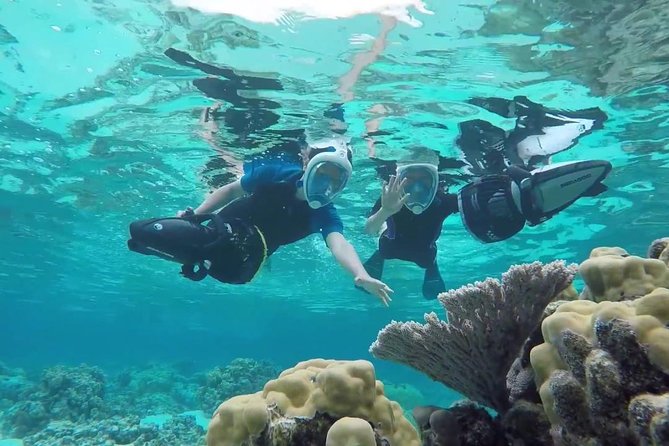Premium Catamaran Afternoon Sail: Snorkeling and Lunch - Sailing past Aruba’s coast