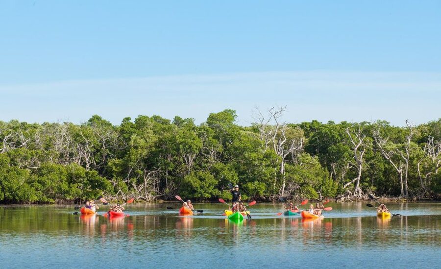 Premium Day Sail, Snorkel &, Kayak with Lunch - Key points to know before you book