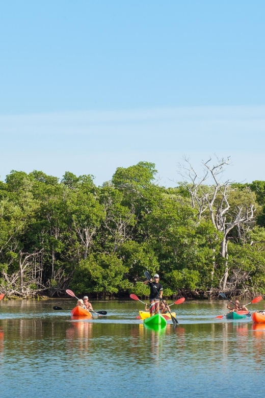 Premium Day Sail, Snorkel &, Kayak with Lunch - Kayaking through mangrove channels