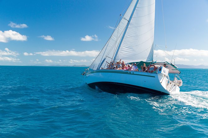 Prima - Overnight Sailing Experience of the Whitsundays - Day two: coffee, another bay, and reef snorkeling
